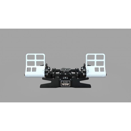 PRE-ORDER!!! RX Viper V3 Rudder Pedals (SILVER)